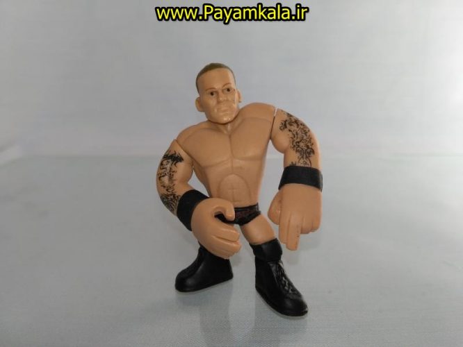 خرید فروش اینترنتی اسباب بازی اکشن فیگور شخصیت های کشتی کج ( WWE Action Figure)