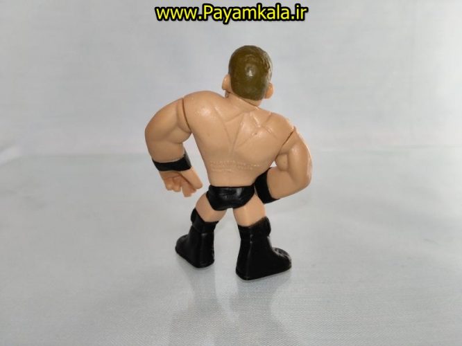 خرید فروش اینترنتی اسباب بازی اکشن فیگور شخصیت های کشتی کج ( WWE Action Figure)