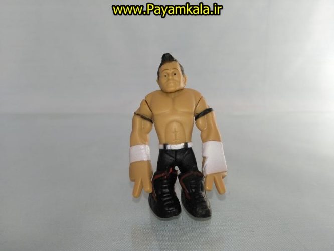 خرید فروش اینترنتی اسباب بازی اکشن فیگور شخصیت های کشتی کج ( WWE Action Figure)