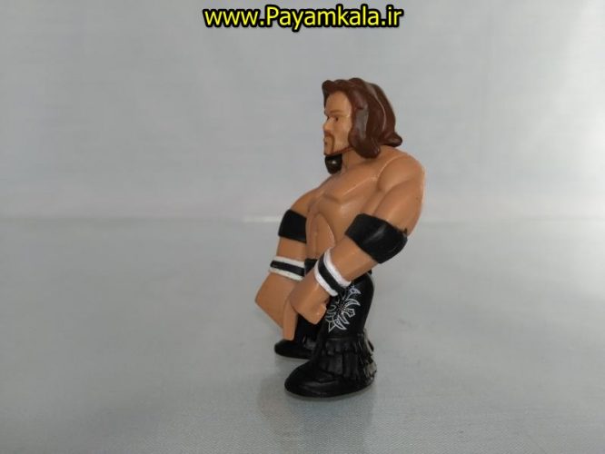 خرید فروش اینترنتی اسباب بازی اکشن فیگور شخصیت های کشتی کج ( WWE Action Figure)