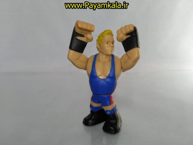 خرید فروش اینترنتی اسباب بازی اکشن فیگور شخصیت های کشتی کج ( WWE Action Figure)