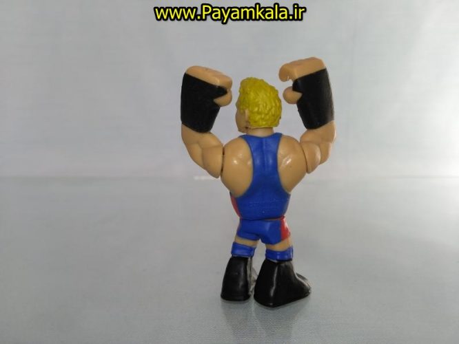 خرید فروش اینترنتی اسباب بازی اکشن فیگور شخصیت های کشتی کج ( WWE Action Figure)