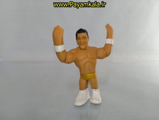 خرید فروش اینترنتی اسباب بازی اکشن فیگور شخصیت های کشتی کج ( WWE Action Figure)