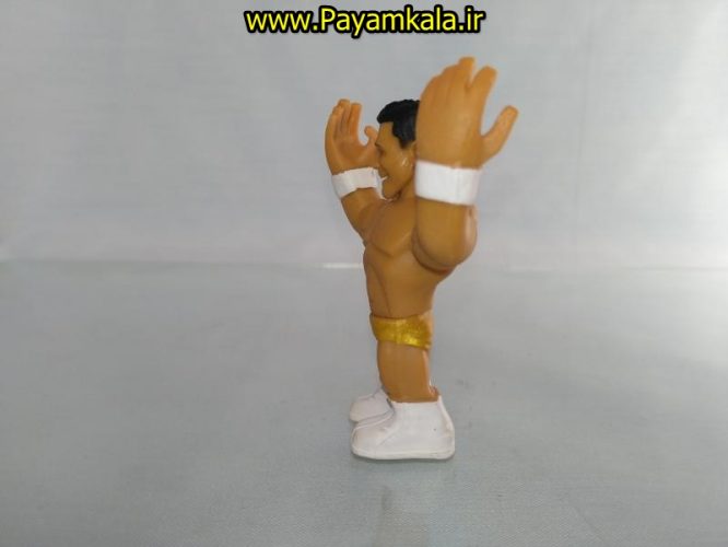 خرید فروش اینترنتی اسباب بازی اکشن فیگور شخصیت های کشتی کج ( WWE Action Figure)