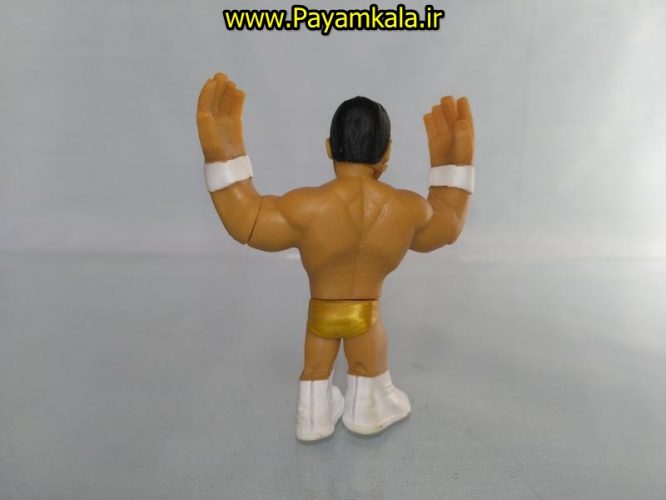 خرید فروش اینترنتی اسباب بازی اکشن فیگور شخصیت های کشتی کج ( WWE Action Figure)