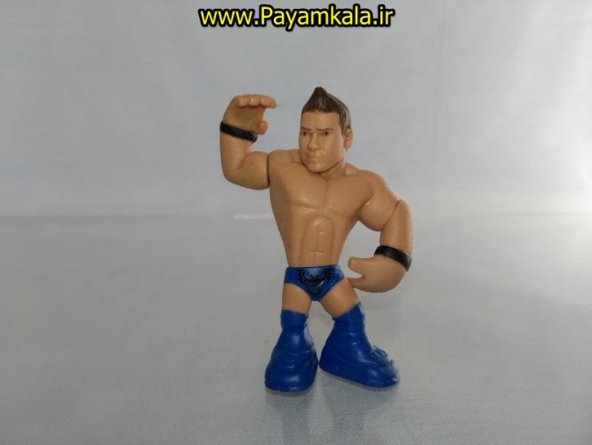 خرید فروش اینترنتی اسباب بازی اکشن فیگور شخصیت های کشتی کج ( WWE Action Figure)