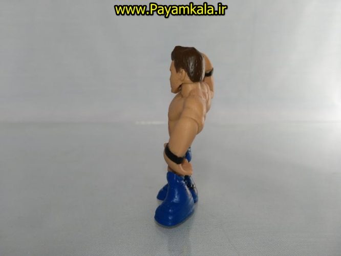 خرید فروش اینترنتی اسباب بازی اکشن فیگور شخصیت های کشتی کج ( WWE Action Figure)