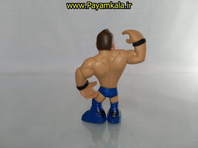 خرید فروش اینترنتی اسباب بازی اکشن فیگور شخصیت های کشتی کج ( WWE Action Figure)