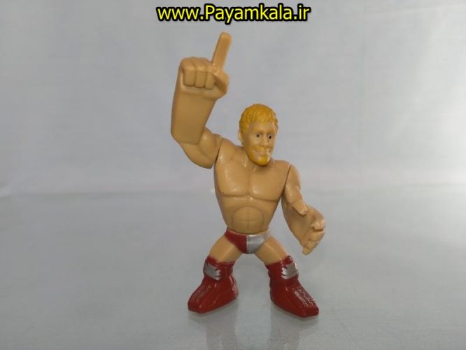 خرید فروش اینترنتی اسباب بازی اکشن فیگور شخصیت های کشتی کج ( WWE Action Figure)