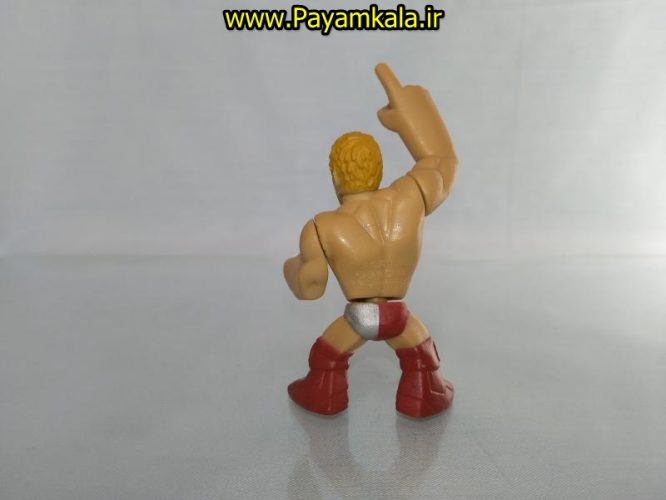 خرید فروش اینترنتی اسباب بازی اکشن فیگور شخصیت های کشتی کج ( WWE Action Figure)