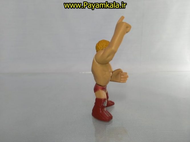 خرید فروش اینترنتی اسباب بازی اکشن فیگور شخصیت های کشتی کج ( WWE Action Figure)