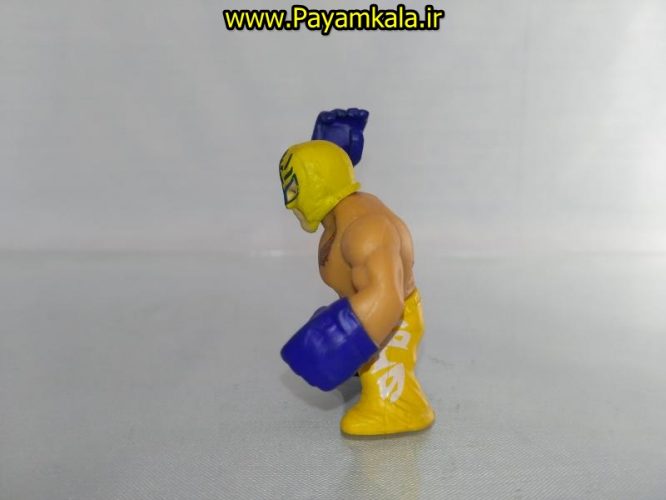 خرید فروش اینترنتی اسباب بازی اکشن فیگور شخصیت های کشتی کج ( WWE Action Figure)