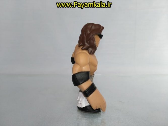 خرید فروش اینترنتی اسباب بازی اکشن فیگور شخصیت های کشتی کج ( WWE Action Figure)