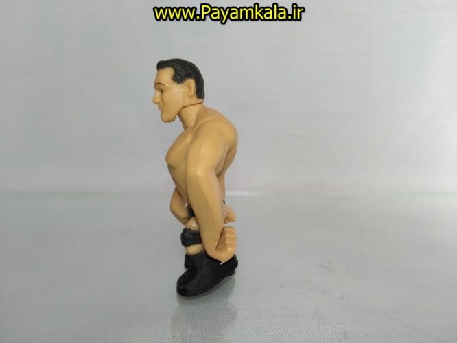 خرید فروش اینترنتی اسباب بازی اکشن فیگور شخصیت های کشتی کج ( WWE Action Figure)