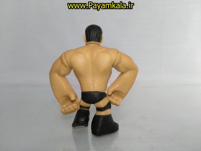 خرید فروش اینترنتی اسباب بازی اکشن فیگور شخصیت های کشتی کج ( WWE Action Figure)