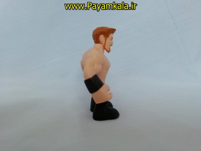 اکشن فیگور شخصیت های کشتی کج ( WWE Action Figure)