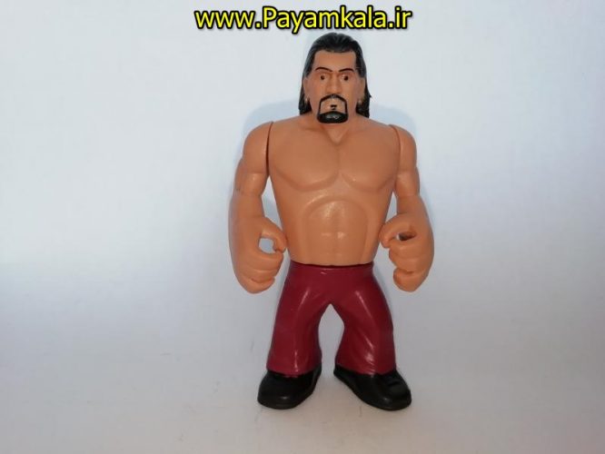 اکشن فیگور شخصیت های کشتی کج ( WWE Action Figure)