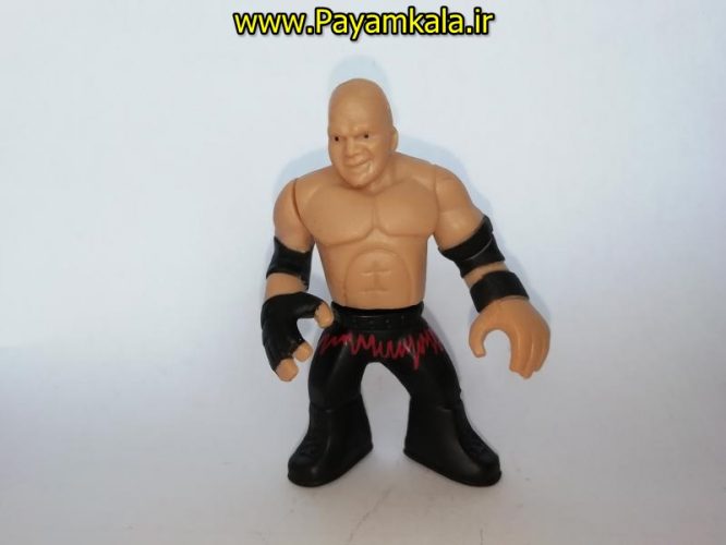 اکشن فیگور شخصیت های کشتی کج ( WWE Action Figure)