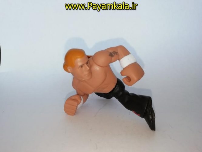 اکشن فیگور شخصیت های کشتی کج ( WWE Action Figure)