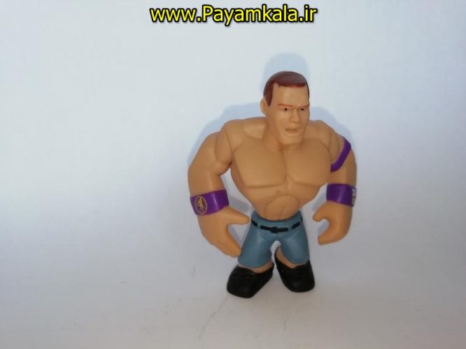 اکشن فیگور شخصیت های کشتی کج ( WWE Action Figure)