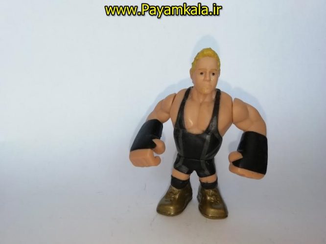 اکشن فیگور شخصیت های کشتی کج ( WWE Action Figure)