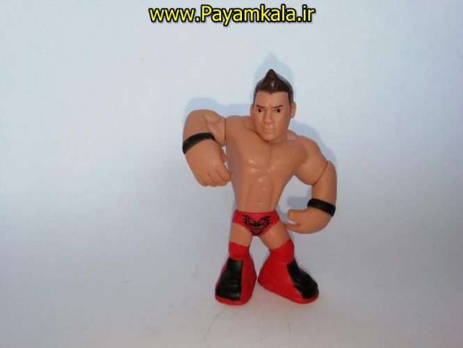 اکشن فیگور شخصیت های کشتی کج ( WWE Action Figure)