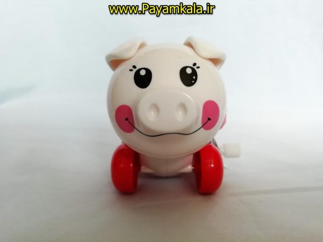 اسباب بازی کوکی خوک نشکن لپ گلی (SMART PIGGY BY IQANGEL)