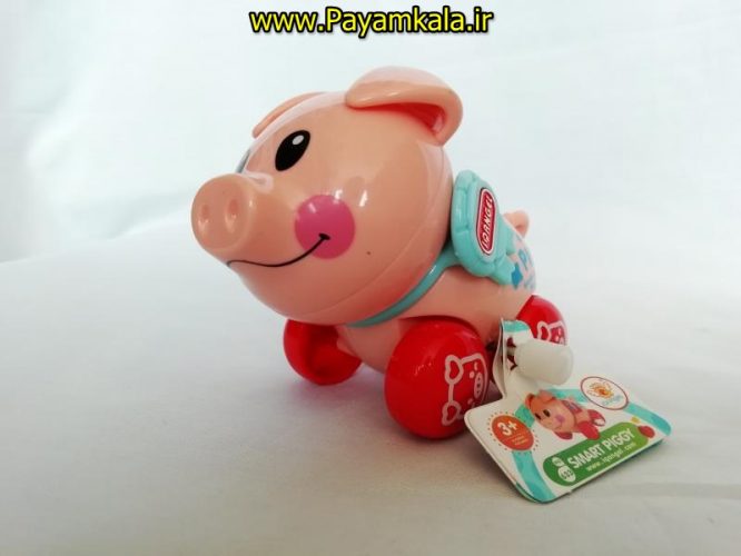 اسباب بازی کوکی خوک نشکن لپ گلی (SMART PIGGY BY IQANGEL)