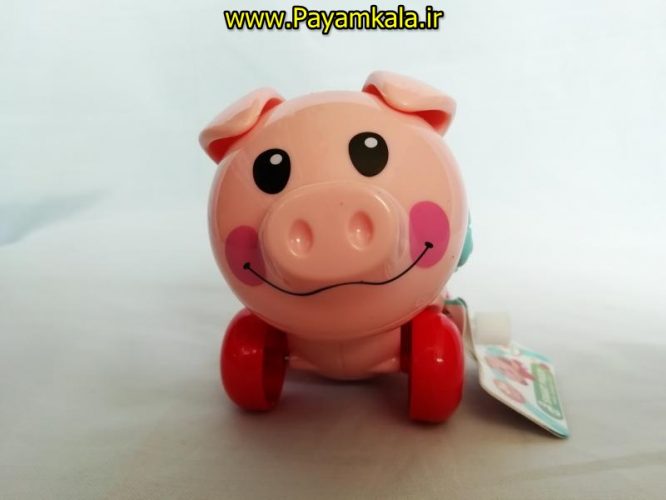 اسباب بازی کوکی خوک نشکن لپ گلی (SMART PIGGY BY IQANGEL)