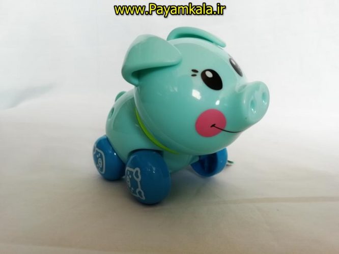 اسباب بازی کوکی خوک نشکن لپ گلی (SMART PIGGY BY IQANGEL)