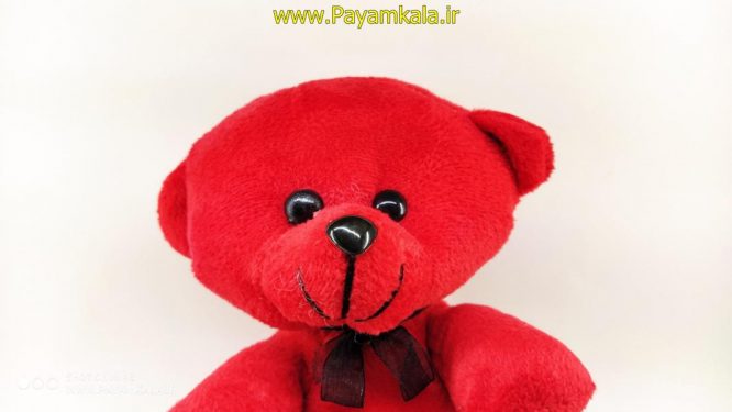 اسباب بازی عروسک پولیشی خرس قلبی (10033)