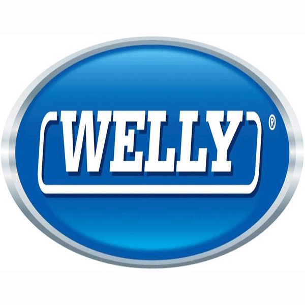 logo welly